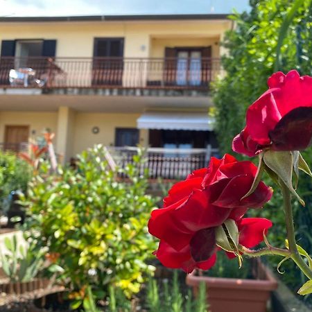 Panoramic Experience Assisi Hh-Free Parking Apartment Exterior photo