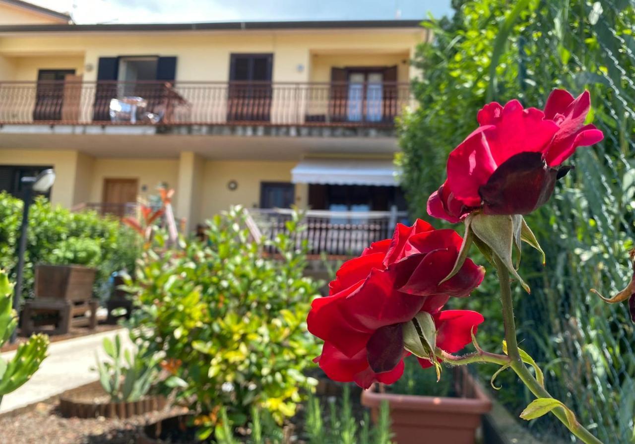 Panoramic Experience Assisi Hh-Free Parking Apartment Exterior photo